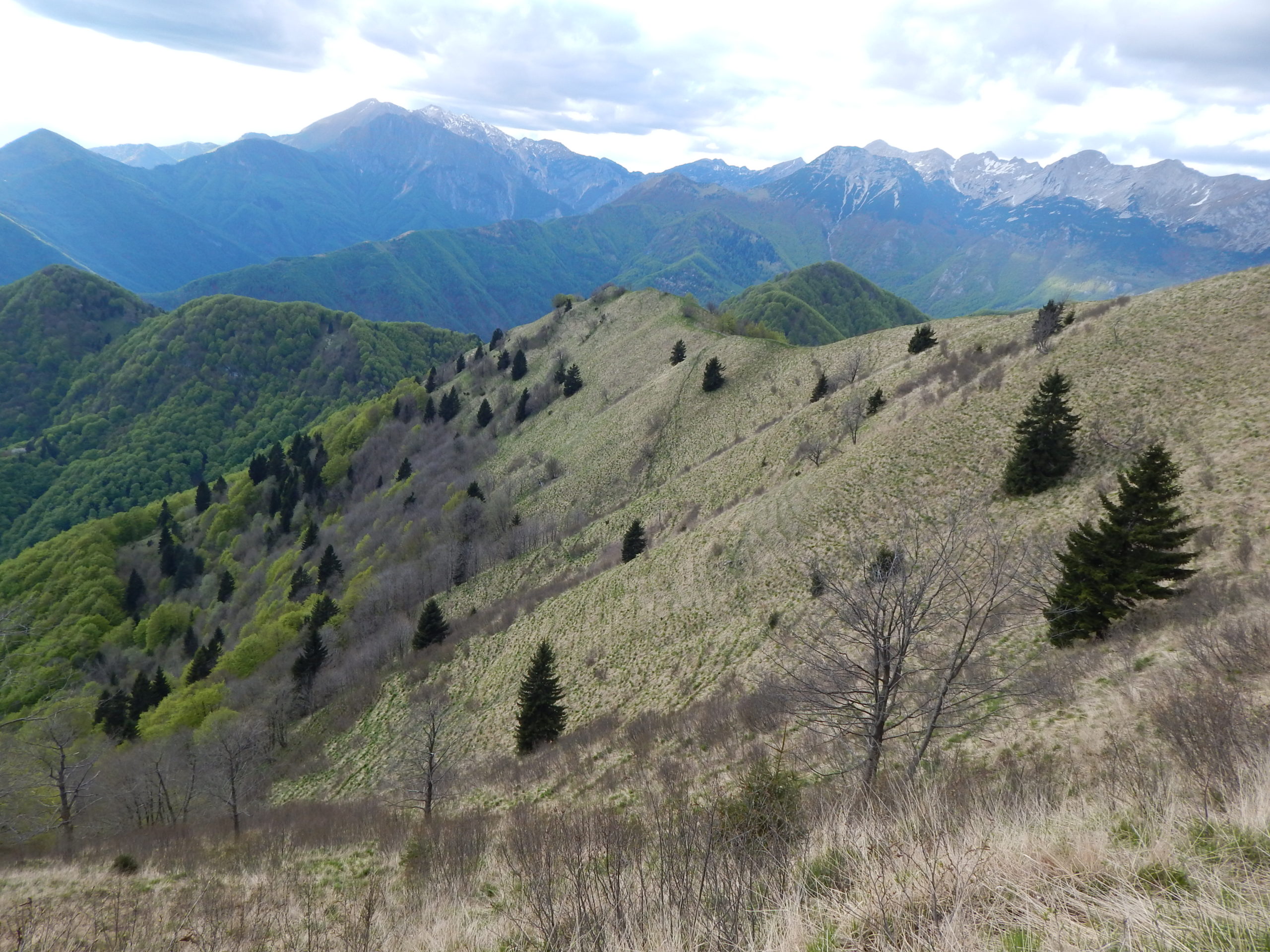 Safe grazing: from field experience to Common Agricultural Policy